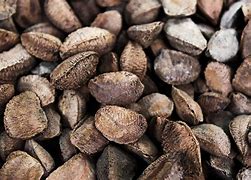 Paranüsse mit Schale 500g